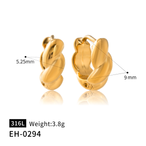 Small Twisted Hoop Earrings