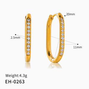 Oval earrings